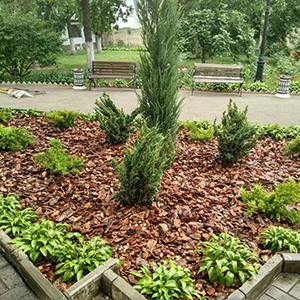 Хвойная мульча в Комсомольске-на-Амуре купить - оперативная доставка по всей России